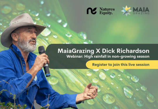 High Rainfall in Non-Growing Season: Impact, Outcome, and What's Ahead