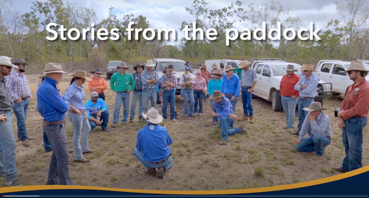 Stories From The Paddock: Strathalbyn Station