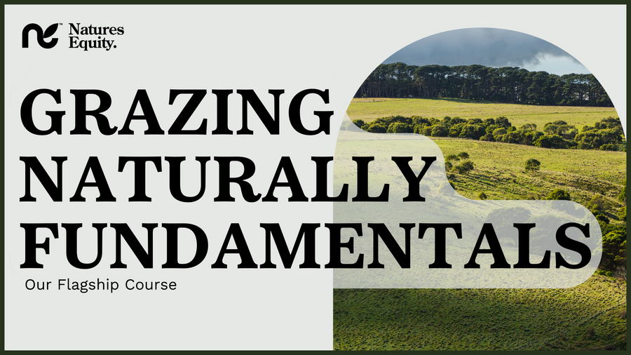 Grazing Naturally System Fundamentals