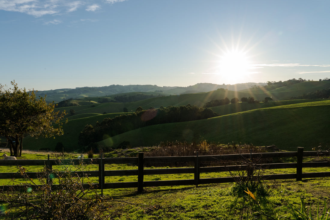 Growing Season Plan Workshop